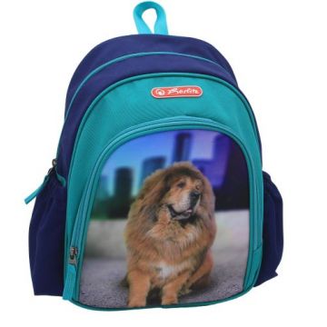 Rucsac Cool, dimensiune31x20x12cm, Motiv Boss Phantom Blue, Herlitz