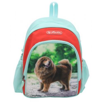 Rucsac Cool, dimensiune31x20x12cm, Motiv Boss Phantom Red, Herlitz