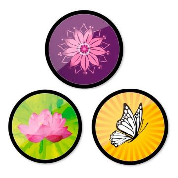 Insigne, 3 buc/set, Roller Nikidom, Spring